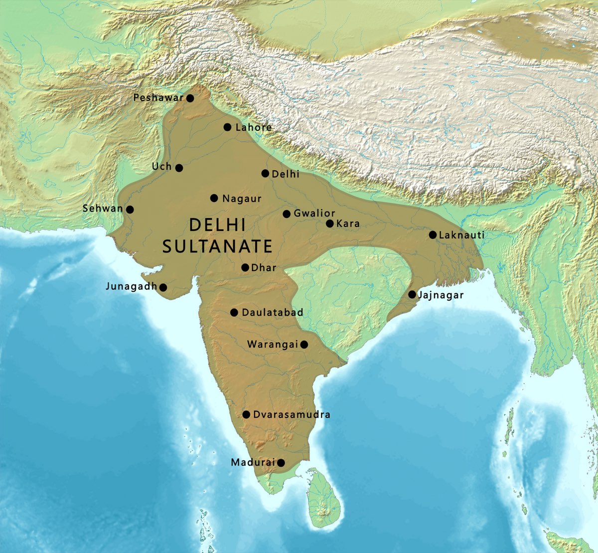 Delhi Türk Sultanlığı (1206-1413)
