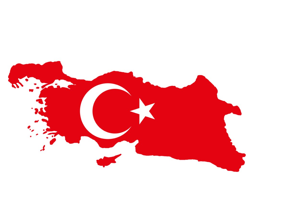 Meclis-i Mebusan'ın İstanbul'da Toplanması ve Misak-ı Milli'yi Kabul Etmesi